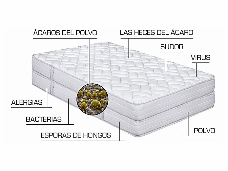 Qué se acumula en un colchón sin limpieza profesional Elementos invisibles como ácaros, bacterias y polvo que se acumulan en los colchones